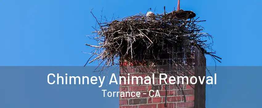 Chimney Animal Removal Torrance - CA