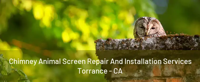 Chimney Animal Screen Repair And Installation Services Torrance - CA