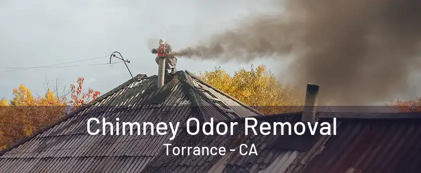 Chimney Odor Removal Torrance - CA