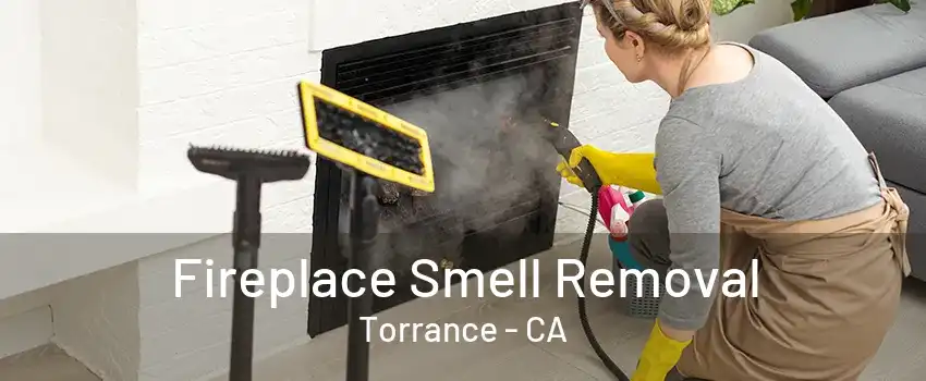 Fireplace Smell Removal Torrance - CA