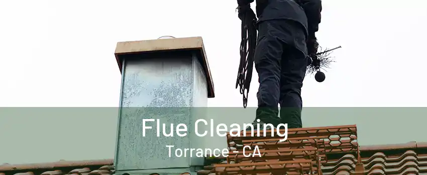 Flue Cleaning Torrance - CA