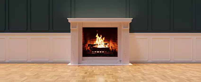 Napoleon Electric Fireplaces Inspection Service in Torrance, California