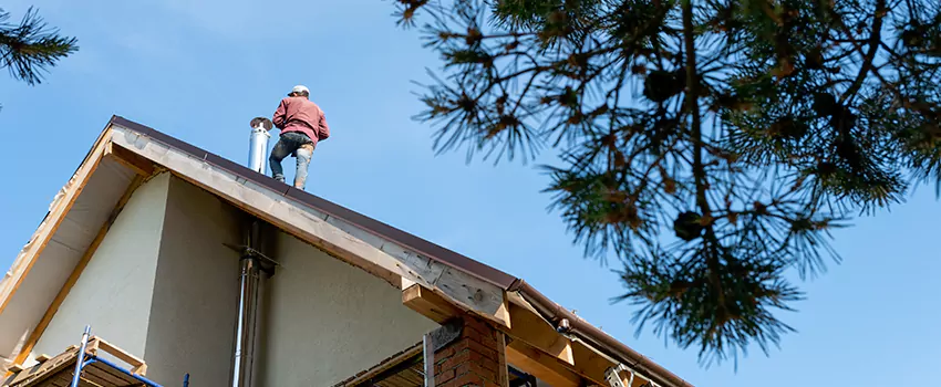 Birds Removal Contractors from Chimney in Torrance, CA