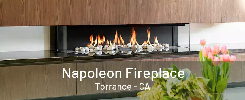 Napoleon Fireplace Torrance - CA